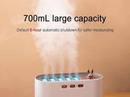 Aroma Cool Mist Humidifer