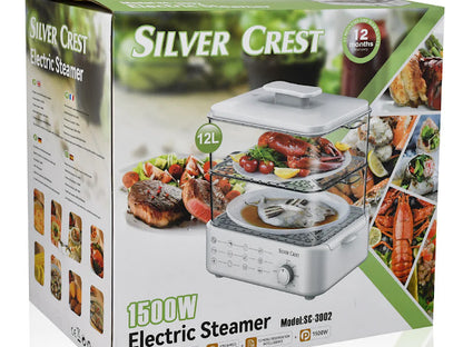 Electric Steamer and Defroster