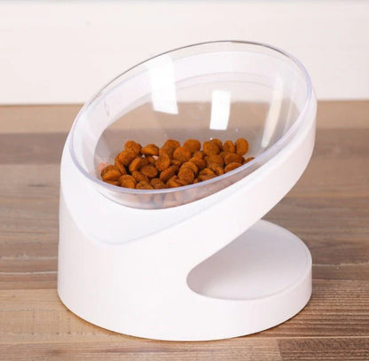 PawAlign Elevated Bowl