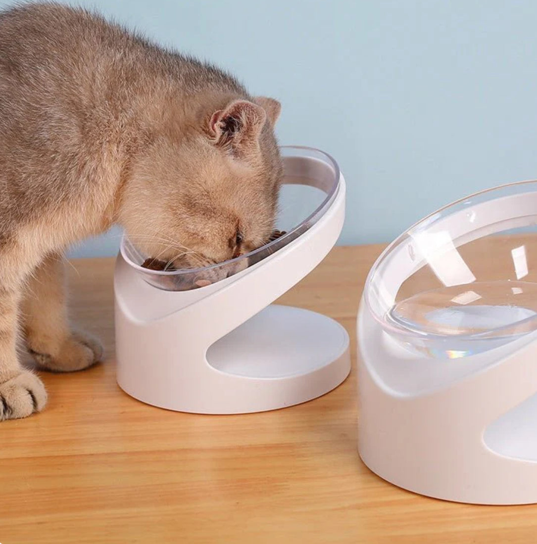 PawAlign Elevated Bowl