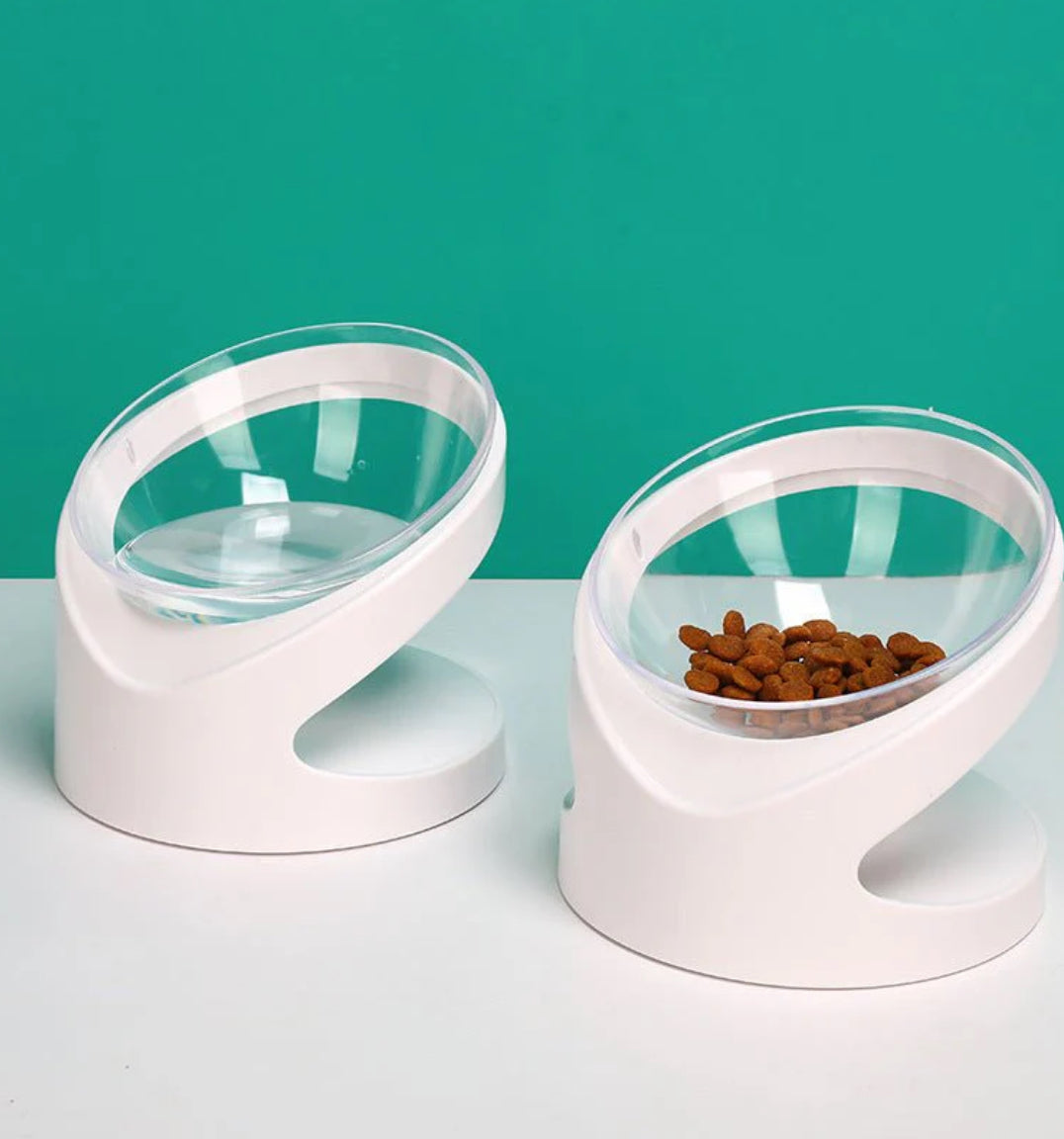 PawAlign Elevated Bowl