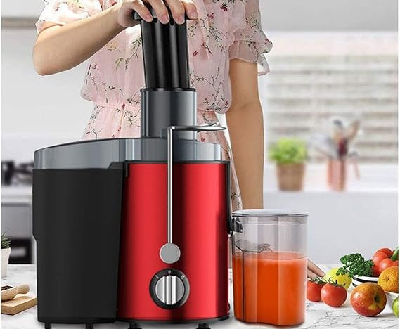 Stainless Steel Portable Fruit Juicers