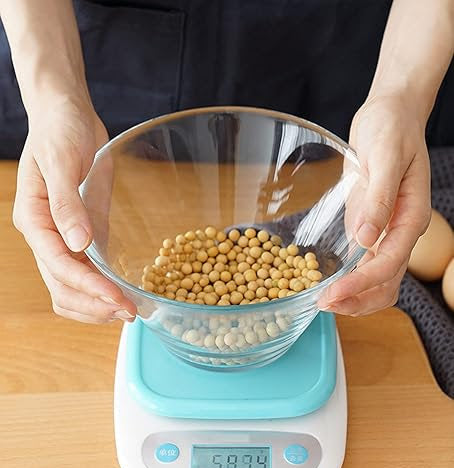 Electronic Food Scale