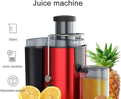 Stainless Steel Portable Fruit Juicers